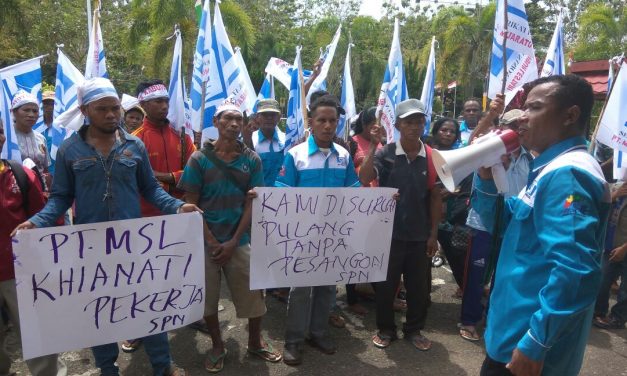 PERLAWANAN BURUH PERKEBUNAN PT MSL