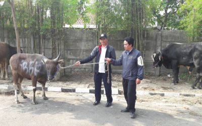 DPC SPN KABUPATEN BEKASI BERQURBAN