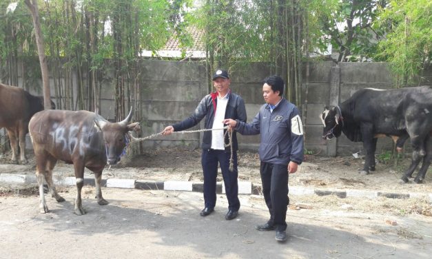 DPC SPN KABUPATEN BEKASI BERQURBAN