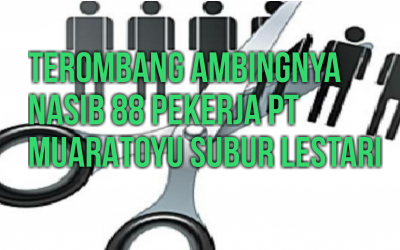 TEROMBANG-AMBINGNYA NASIB 88 PEKERJA PT MUARATOYU SUBUR LESTARI