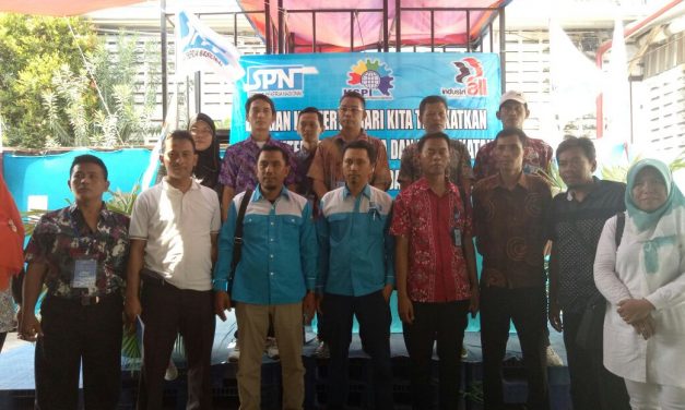 KONFERTA XII PSP SPN PT BUDIMUARATEX