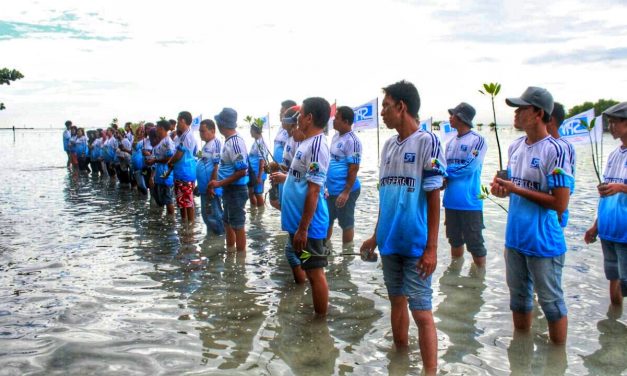 SPN PEDULI BUDIDAYA MANGROVE