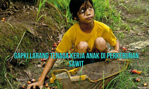 GAPKI LARANG TENAGA KERJA ANAK DI PERKEBUNAN SAWIT