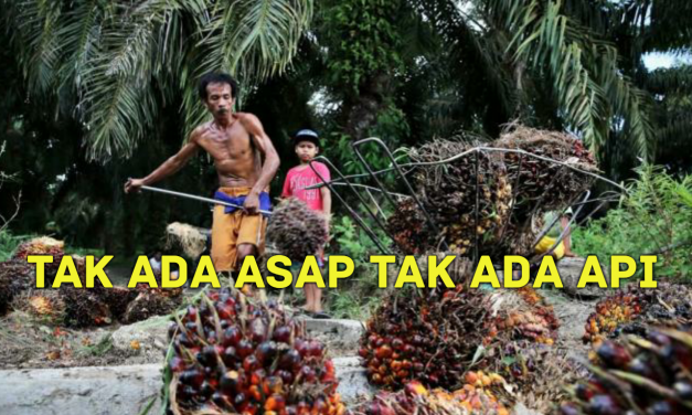 TAK ADA ASAP TAK ADA API