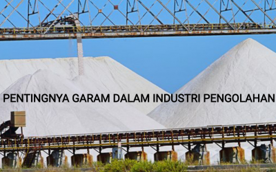 PENTINGNYA GARAM DALAM INDUSTRI PENGOLAHAN