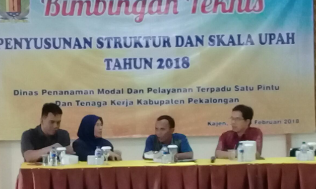 BIMBINGAN TEKNIS PENYUSUNAN STRUKTUR DAN SKALA UPAH