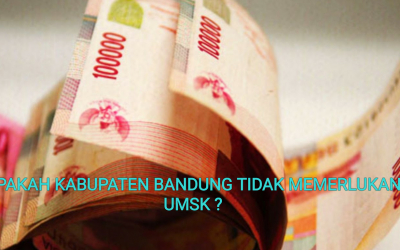 APAKAH KABUPATEN BANDUNG TIDAK MEMERLUKAN UMSK ?