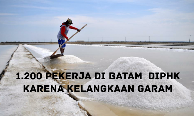 1.200 PEKERJA DI BATAM  DIPHK KARENA KELANGKAAN GARAM