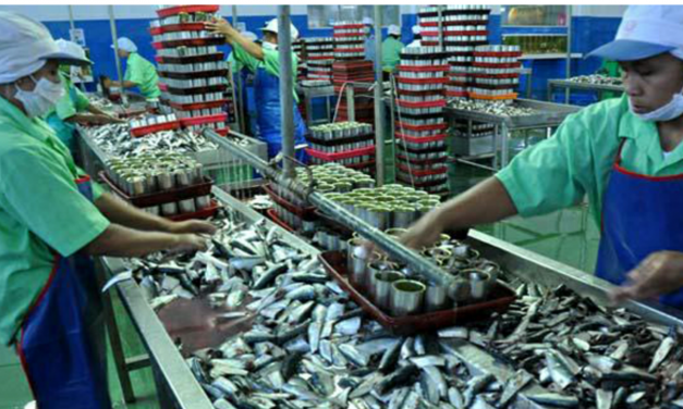 KARENA CACING, PENGUSAHA SARDEN TERANCAM BANGKRUT