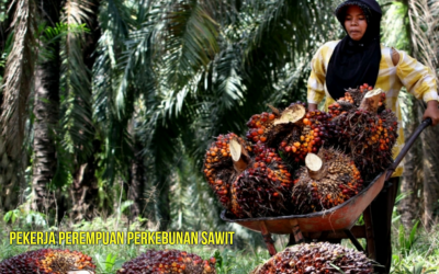 BURUH PEREMPUAN MELAHIRKAN DI KEBUN SAWIT