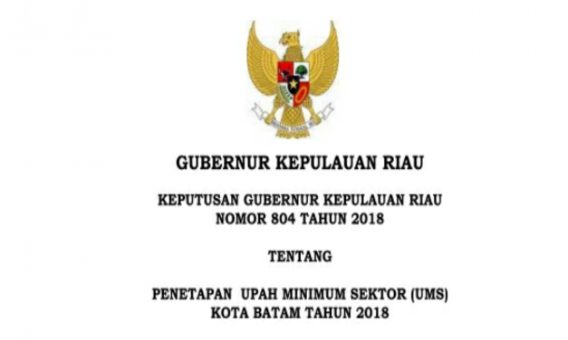 UMSK BATAM DIGUGAT APINDO, GUBERNUR NURDIN : SILAHKAN ITU HAK MEREKA, UMSK TIDAK BISA DIRUBAH