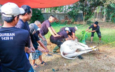 QURBAN PSP SPN PT ACTEM