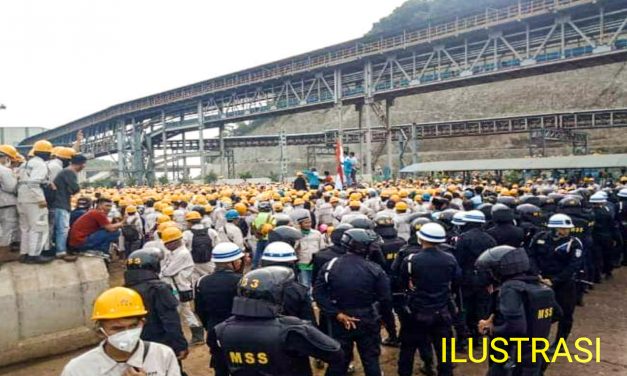 PT IMIP GROUP/PT GCNS DIANJURKAN BAYAR PESANGON ATAU MEMPEKERJAKAN KEMBALI  FADLI
