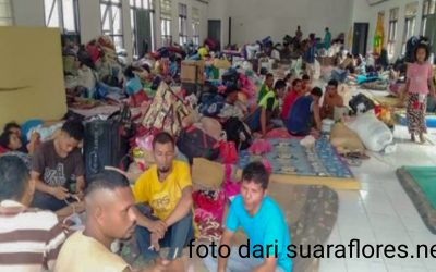 BIADAPNYA PENGUSAHA PT WAHANA TRITUNGGAL CEMERLANG TERHADAP BURUH KELAPA SAWIT DI KALTIM