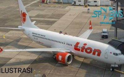 PILOT LION GROUP DIHANTUI STATUS PKWT