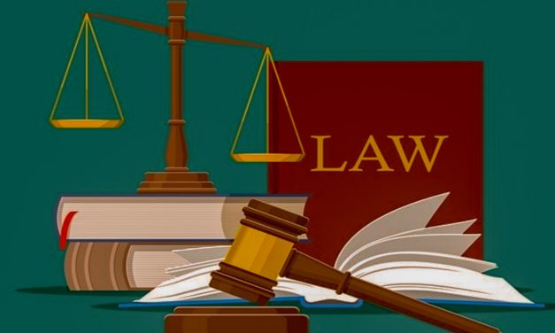 RUU CIPTA KERJA DISINYALIR INKONSTITUSIONAL