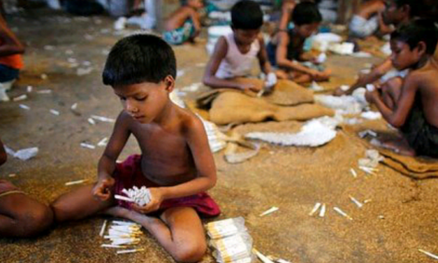 HASIL STUDI SMERU MENEMUKAN PERKEBUNAN TEMBAKAU LIBATKAN PEKERJA ANAK