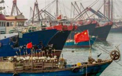 DUA KAPAL BERBENDERA CHINA DITANGKAP, TERDAPAT 22 PEKERJA WNI DAN 1 ORANG TEWAS DI FREEZER
