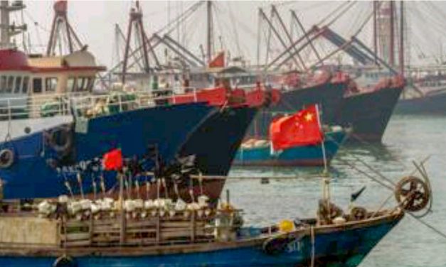 DUA KAPAL BERBENDERA CHINA DITANGKAP, TERDAPAT 22 PEKERJA WNI DAN 1 ORANG TEWAS DI FREEZER