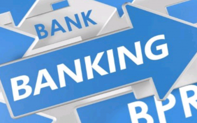 BISNIS BPR ALAMI KEBANGKRUTAN