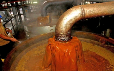 HARGA CPO NAIK 39,64 PERSEN
