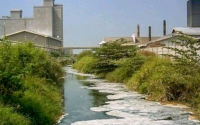 KEMUDAHAN INVESTASI YANG BISA MENIMBULKAN KERUSAKAN LINGKUNGAN