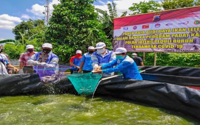 PANEN RAYA PERDANA BUDI DAYA LELE BANTUAN POLDA JATENG