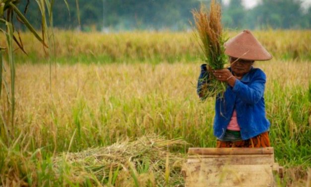 DUTA PETANI RAGU RUU CIPTA KERJA LINDUNGI PETANI