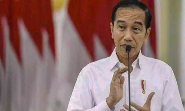 JOKOWI MINTA SEMUA GUBERNUR SATU SUARA SIKAPI UU CIPTA KERJA