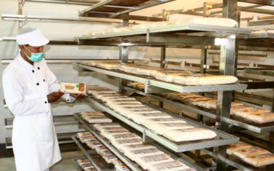 PABRIK TEMPE INDONESIA DIBUKA DI CHINA