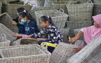 PP NO 36/2021 MENGIZINKAN UPAH USAHA MIKRO DAN KECIL DI BAWAH UMP