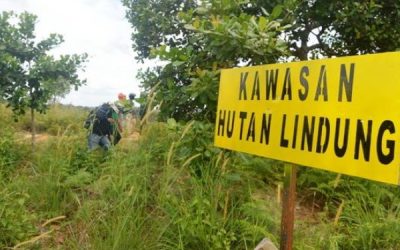SERIKAT KARYAWAN PERHUTANI TOLAK SK MENTERI LHK