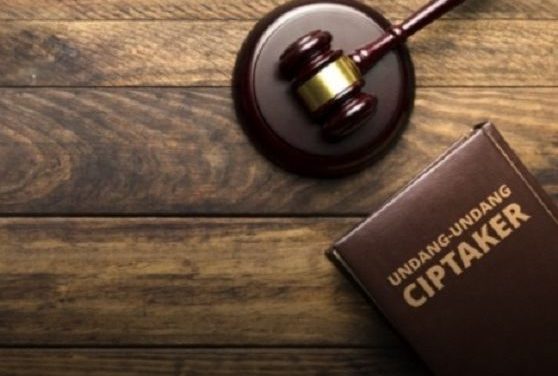 DALAM SIDANG MK SAKSI PEMERINTAH SEBUT ADA KEGIATAN PARTISIPASI PUBLIK DALAM PENYUSUNAN UU CIPTA KERJA