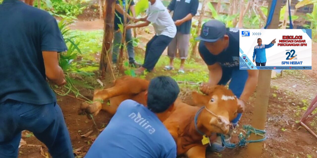 HUT ke-22 SPN: Berbagi Daging Kurban Idul Adha di Bogor
