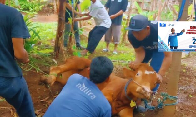 HUT ke-22 SPN: Berbagi Daging Kurban Idul Adha di Bogor