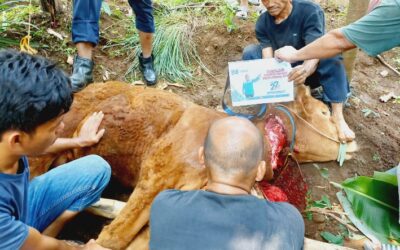 HUT ke-22 SPN: Berbagi Daging Kurban Idul Adha di Bogor